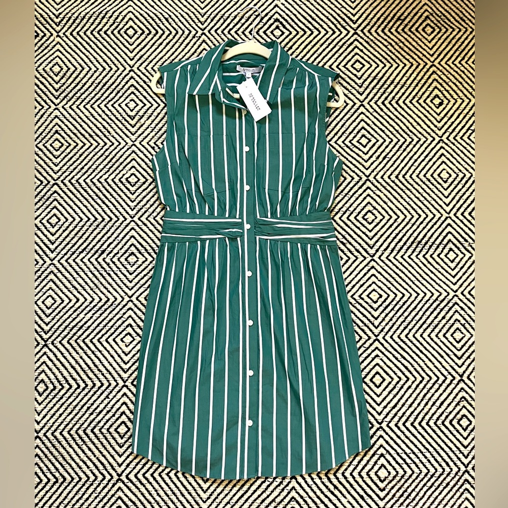 Derek Lam 10 Crosby Dress | Green & White Pinstripe 100% Cotton Women’s Size 8